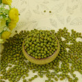 Chinese dried green mung bean